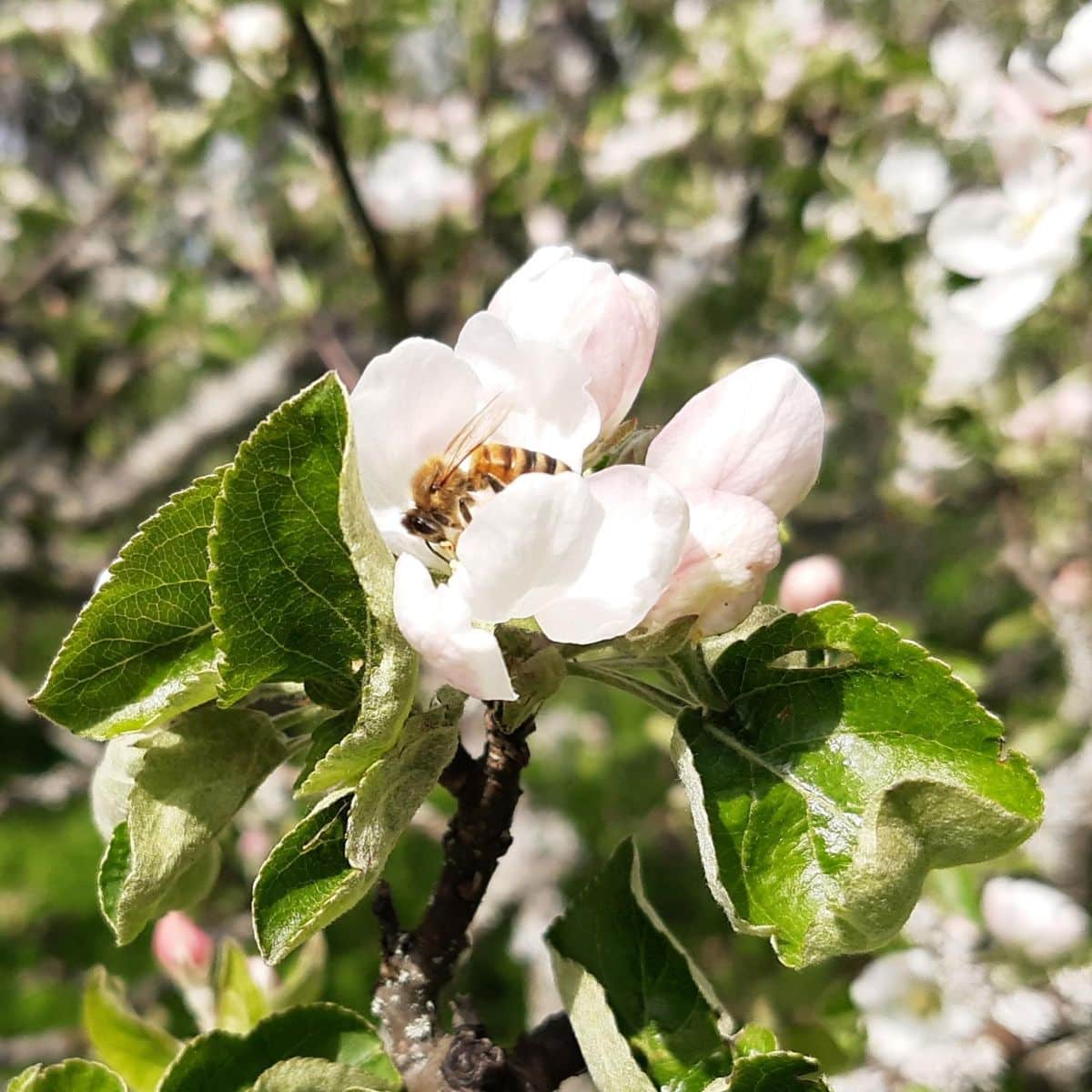 Checkfin specialists • Checkfin Oy