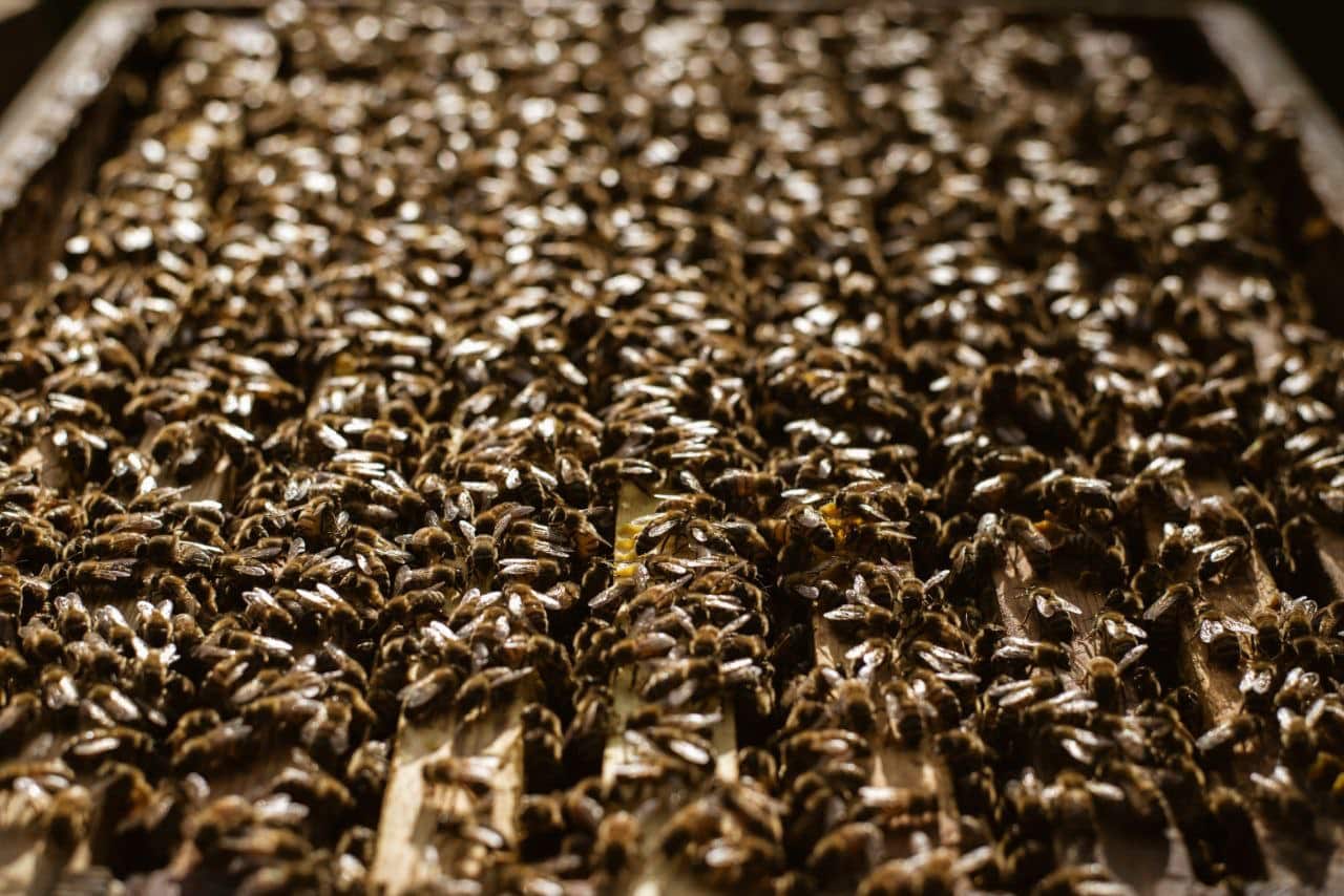 Checkfin specialists • Checkfin Oy